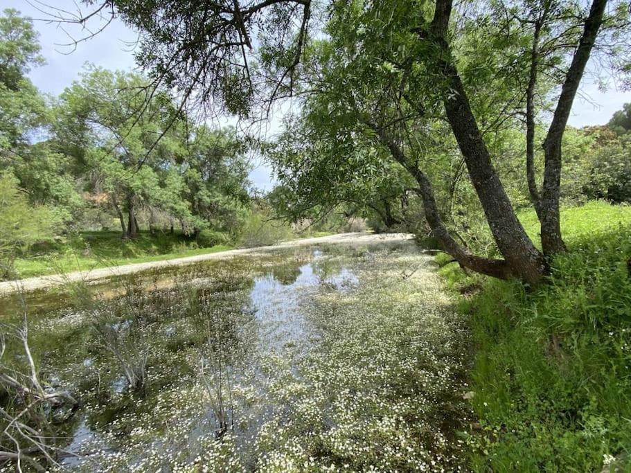 Finca La Alcolehuela En Parque Natural De Despenaperros Santa Elena Luaran gambar