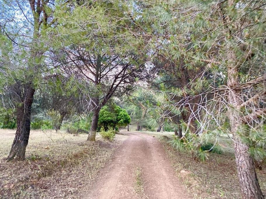 Finca La Alcolehuela En Parque Natural De Despenaperros Santa Elena Luaran gambar