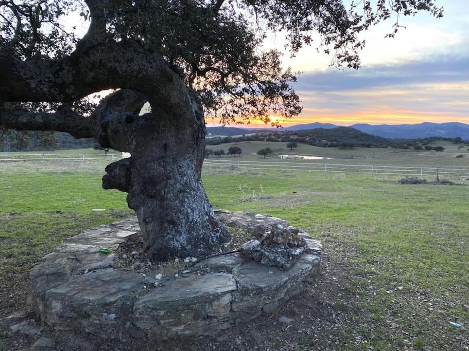 Finca La Alcolehuela En Parque Natural De Despenaperros Santa Elena Luaran gambar